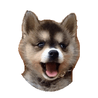 puppy STICKER by imoji