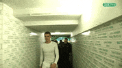 Celebrate Celtic Fc GIF by Celtic Football Club