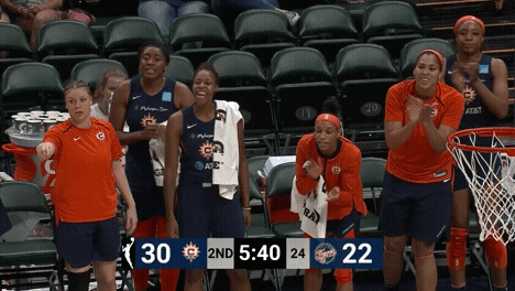 Excited Connecticut Sun GIF by WNBA
