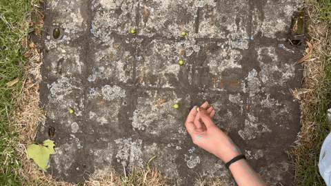 kyelichia giphyupload games batu seremban GIF