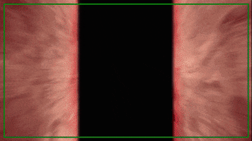 Xboxlatam xbox doom eternal Bethesda GIF