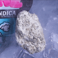 The 8Th Flower GIF by Exclusive Brands