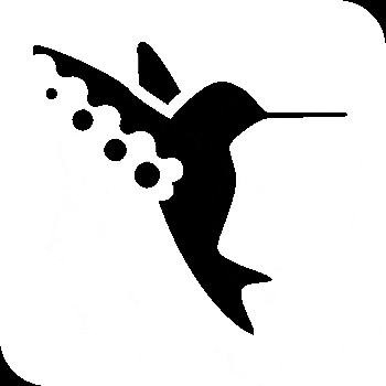 Colibri GIF by Nap-Art Imprimeurs