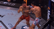 Calling Ufc Fighter GIF
