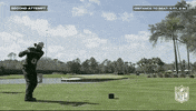 Pro Bowl Football GIF by NFL