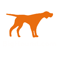 Bighound Sticker by teezonic