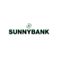 Dragons Bleedgreen Sticker by Sunnybank Rugby