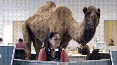 Video gif. In a mundane office, a woman sits at her desk looking at her computer screen with an amazed expression. A large camel stands behind her. The girl says, “It’s hump day!" And the camel yells, “wooooo woooo!”