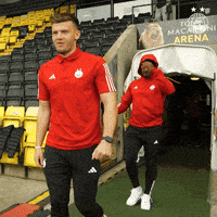 AberdeenFC football soccer afc aberdeen GIF