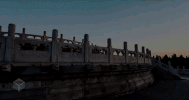 china peking GIF