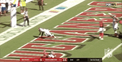 2018 Nfl Football GIF by NFL