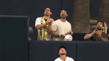 San Diego Padres Sport GIF by MLB