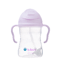 Bbox Sticker by b.box for kids JAPAN(ビーボックス)