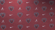 College Sports Sport GIF by CWU Athletics