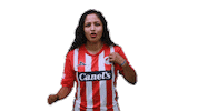 San Luis Soccer Sticker by Atlético de San Luis