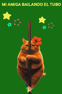 Feliz Disfrutando GIF by Murcianys LLC