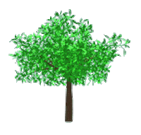 tree STICKER