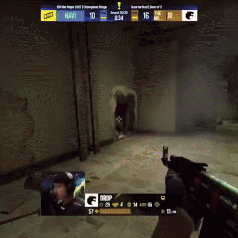 1HitGames giphygifmaker esports csgo cs GIF
