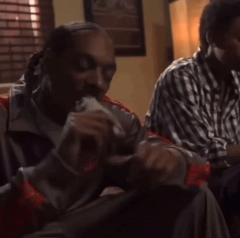 Snoop How High GIF by EsZ  Giphy World