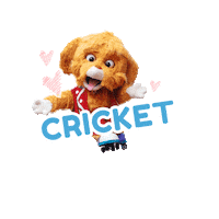 Dogs Cricket Sticker by Visinema Pictures