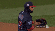 World Series Thank You GIF by MLB