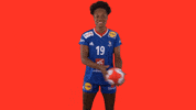 Ffhandball GIF by Fédération Française de Handball