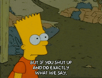 Season 1 GIF by The Simpsons