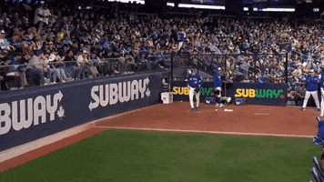Pitching Blue Jays GIF by Toronto Blue Jays