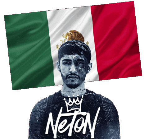 Neton Vega Sticker by Music VIP