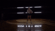 MSUMDragons dragons msum msum dragons msumoorhead GIF