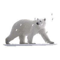 flying polar bear Sticker by Our Planet