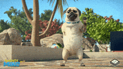 boomerangtoons happy funny fun cute GIF