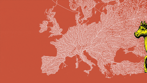 DiarioDeNoticias giphyupload GIF