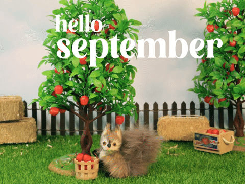 hello september