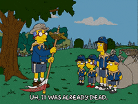 episode 16 turtle GIF