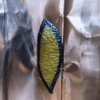 art copper GIF by Liaizon Wakest