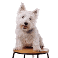 Real Estate Sticker by Plum Property