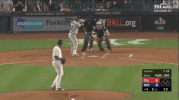 Yankees GIF by Jomboy Media