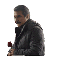 Netflixturkiye Sticker by NETFLIX