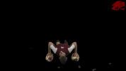 soccer GIF by CUCougars