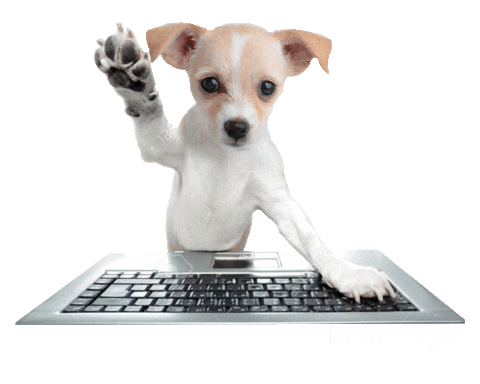 dog work Sticker by MISO PUP