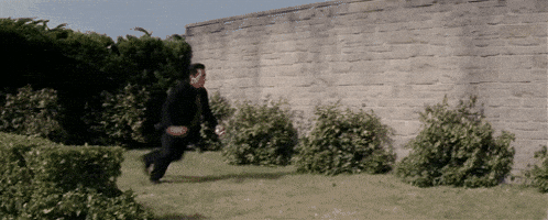 nomadicwookiee13 giphyupload GIF