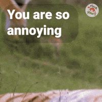 You Are Annoying Animal Rescue GIF by FOUR PAWS
