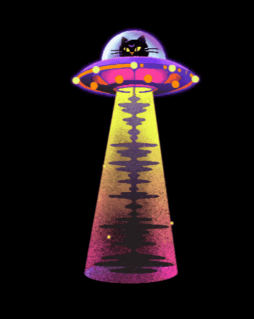 Cat Spaceship GIF by Mishu_Music