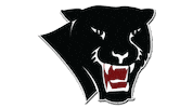 Gopanthers Sticker by Florida Tech Athletics