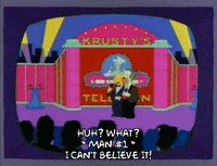 Season 3 Show GIF by The Simpsons