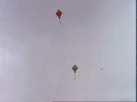 episode 1 specials GIF