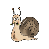 Otterspiele snail flora liechtenstein schnecke Sticker