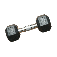 Gym Health Sticker by D-Lable