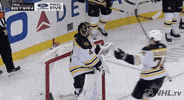 Ice Hockey Hug GIF by NHL